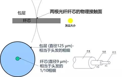 动物胶与光纤花原理