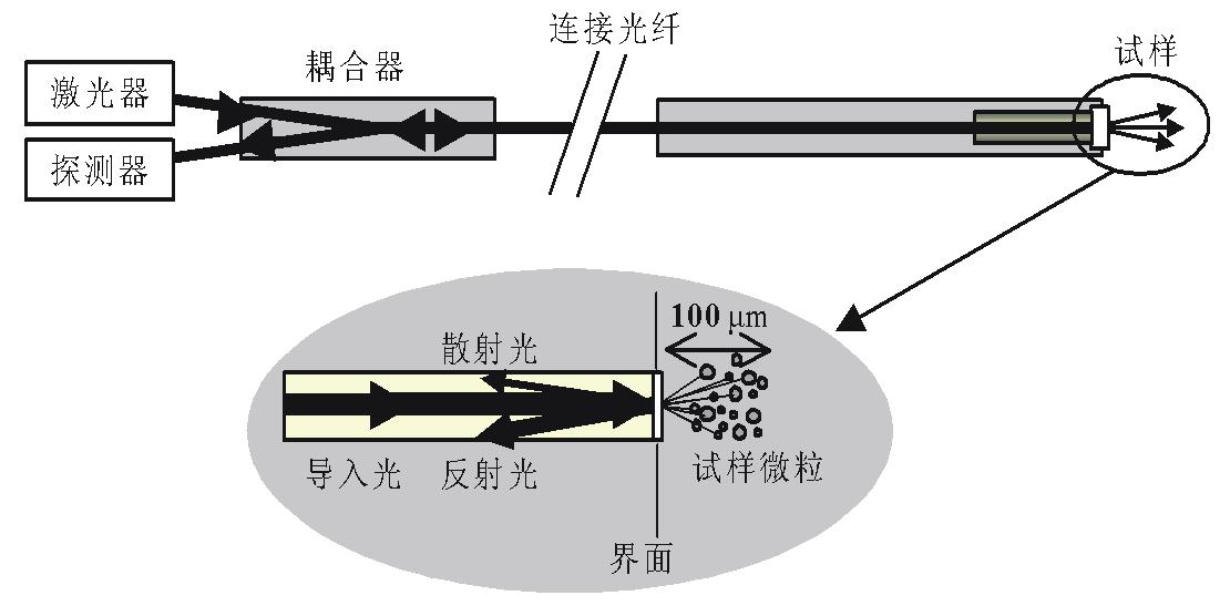 图示仪与光纤花原理