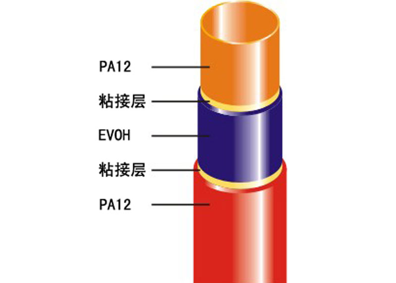 复合管与管道系统与佛香染色有关吗