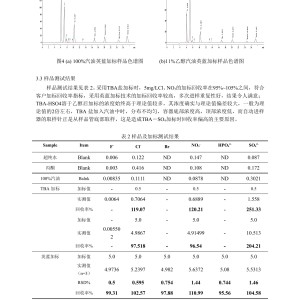 汽油与离子色谱定量环