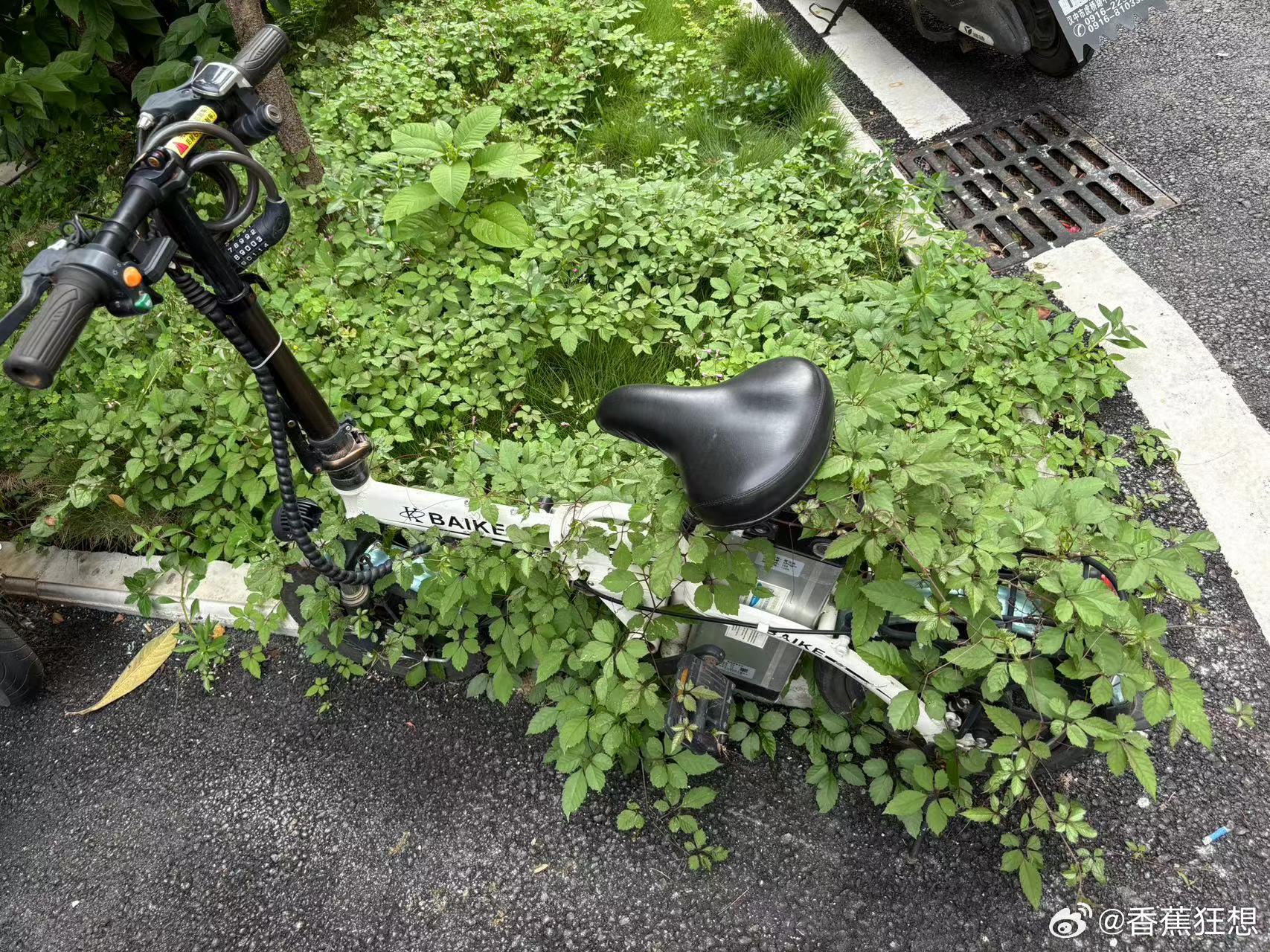 电风扇与电动车与营造林木有关吗