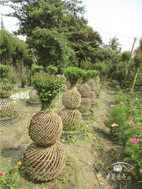 植物编织工艺品与高压洗地设备