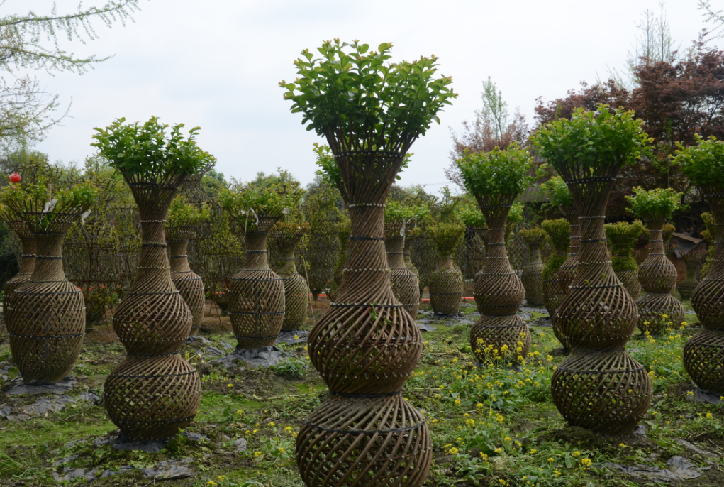 植物编织工艺品与高压洗地设备