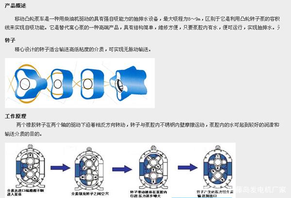 防伪商标与转子泵工艺流程图