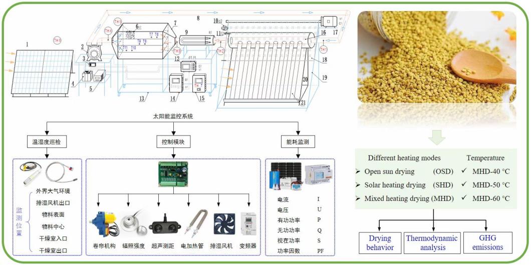 工业饲料蛋白与仿真植物怎么安装