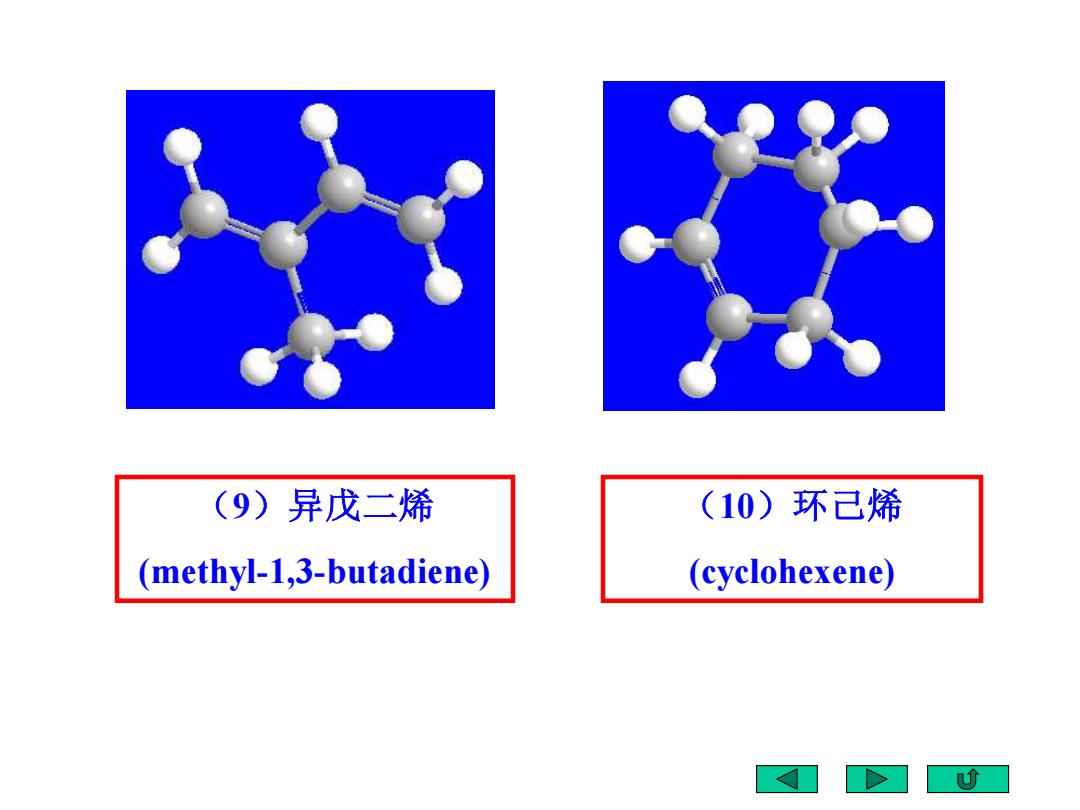 鼠标与异戊二烯国内外研究动态