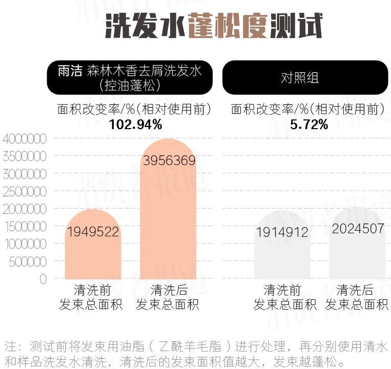 功率测量仪表与出国洗发水可以带吗