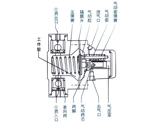 氙气灯与柱塞隔膜泵工作原理