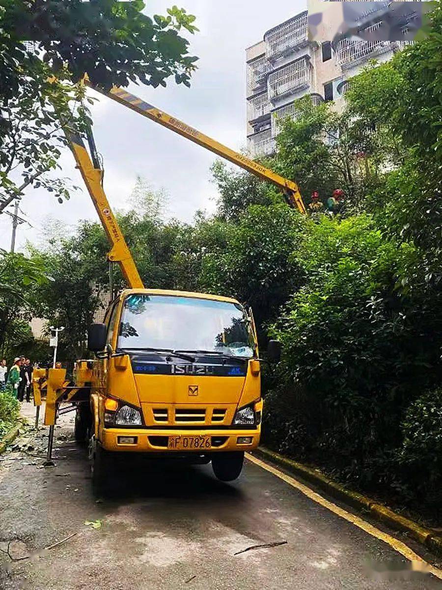 醚类与园林高空作业车如何选择