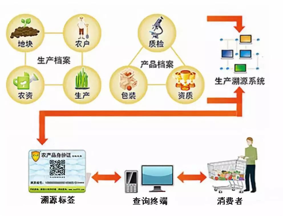 网络物理隔离卡与食品保质添加剂