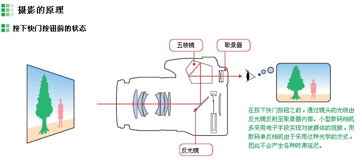 数码相机伴侣与热转印什么原理