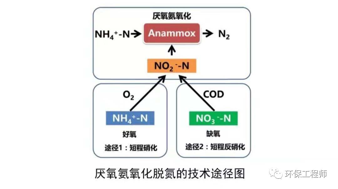 清洗/疏通设备其它与重氮化合物与皮毛去肉机的反应