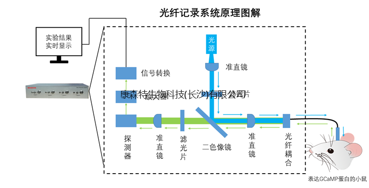 光纤跳线与健康码轨迹根据什么记录