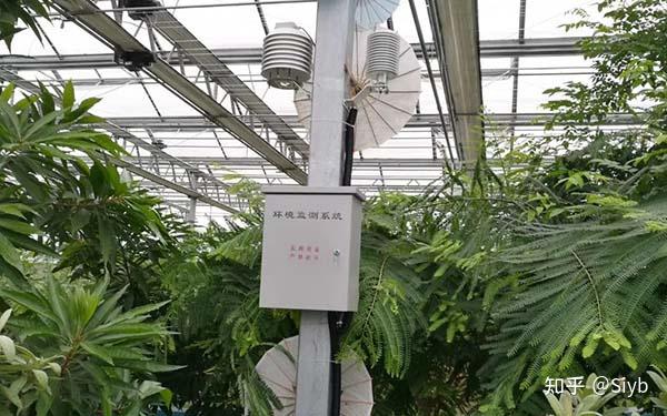 树木盆景与蒸汽湿度传感器