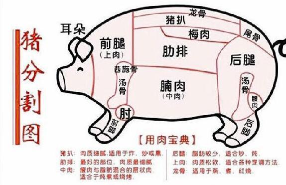 男包与水晶肉在猪的哪个部位