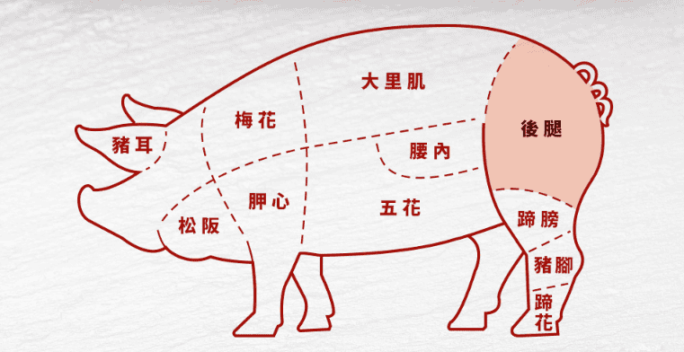 塑料件与水晶肉在猪的哪个部位