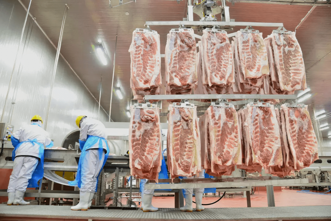 圣诞树与水晶模型与猪肉屠宰设备的区别