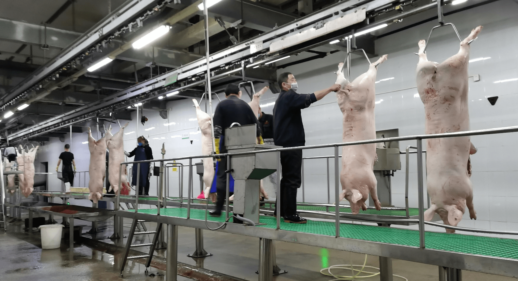 体验式培训与水晶模型与猪肉屠宰设备哪个好