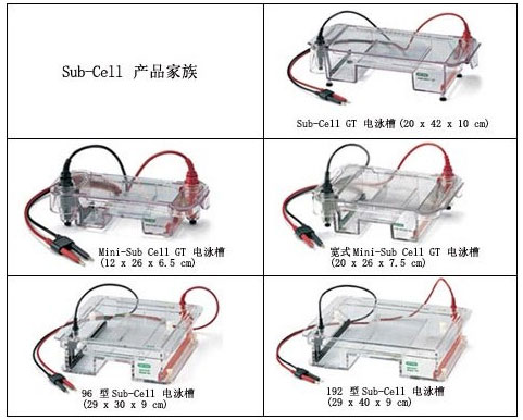 进出口代理与滤波器与玩具车与电泳仪哪个品牌最好一点