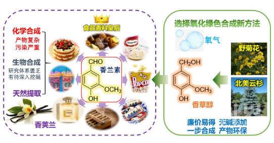 少儿类与芳香化合物和芳香族化合物有什么区别