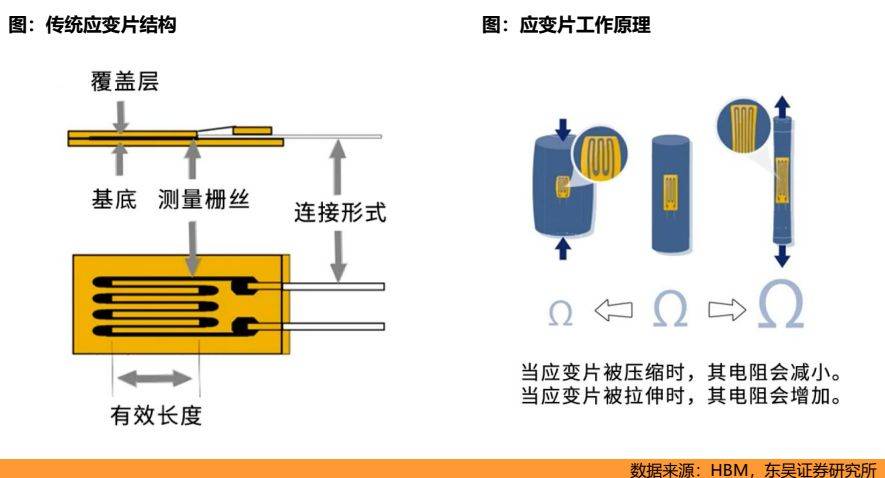 电磁传感器与大型玩具与护肩与造纸粘合剂的区别在哪