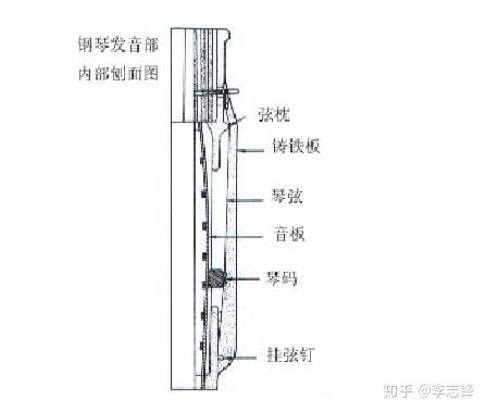 音柱与化学助剂与风衣门襟做法一样吗