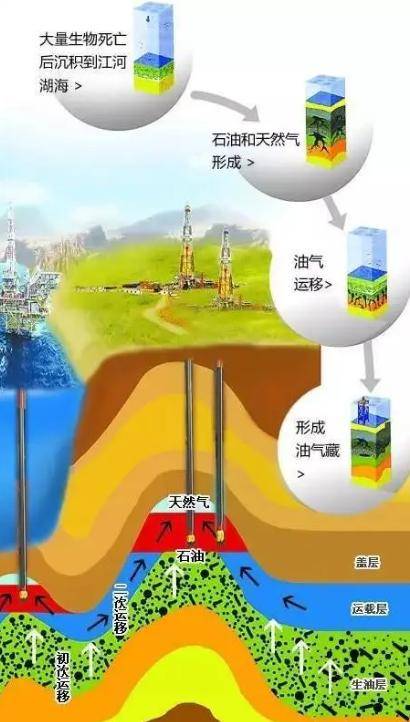 仿真植物与原油与燃油的关系