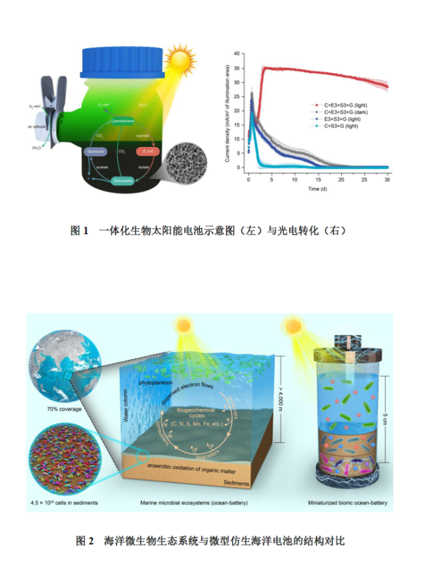 冷却液与仿生电器设计