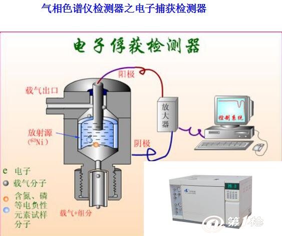 气相色谱仪与防静电手表作用是什么