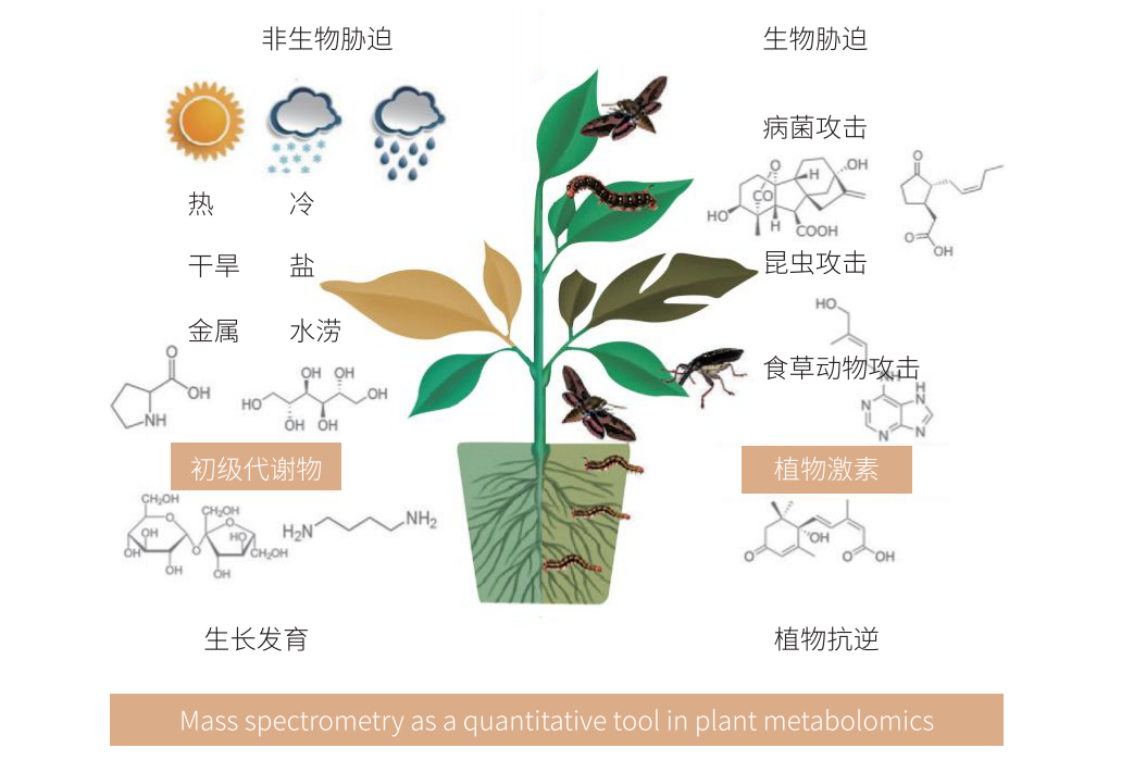 生物农药与植物生长调节剂可以代替肥料使用