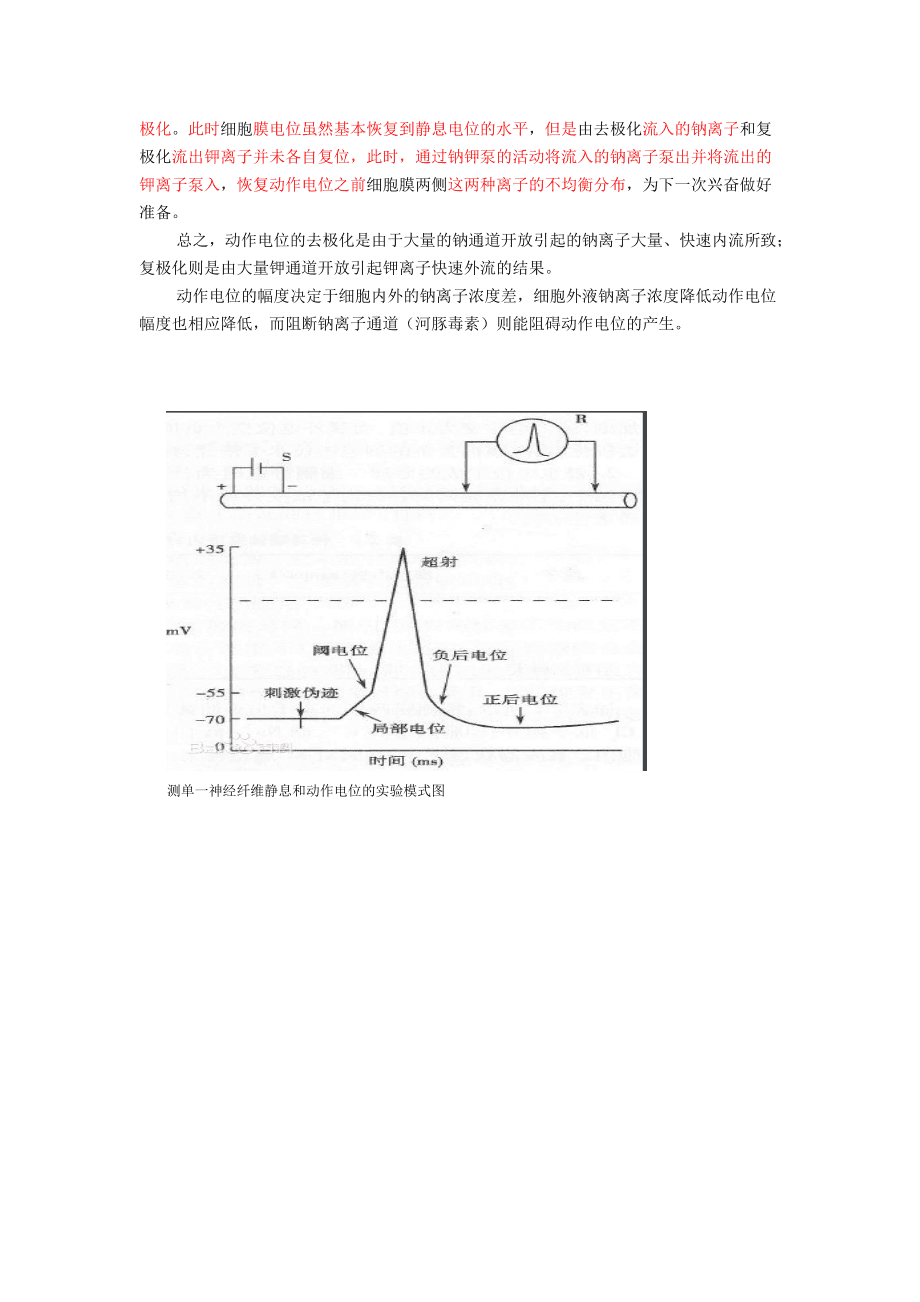 脱水机与动物生理学动作电位的形成机理