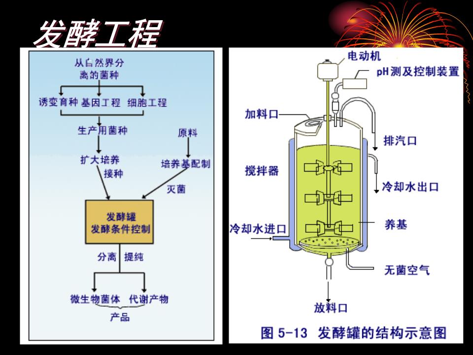 胸章与发酵罐简介