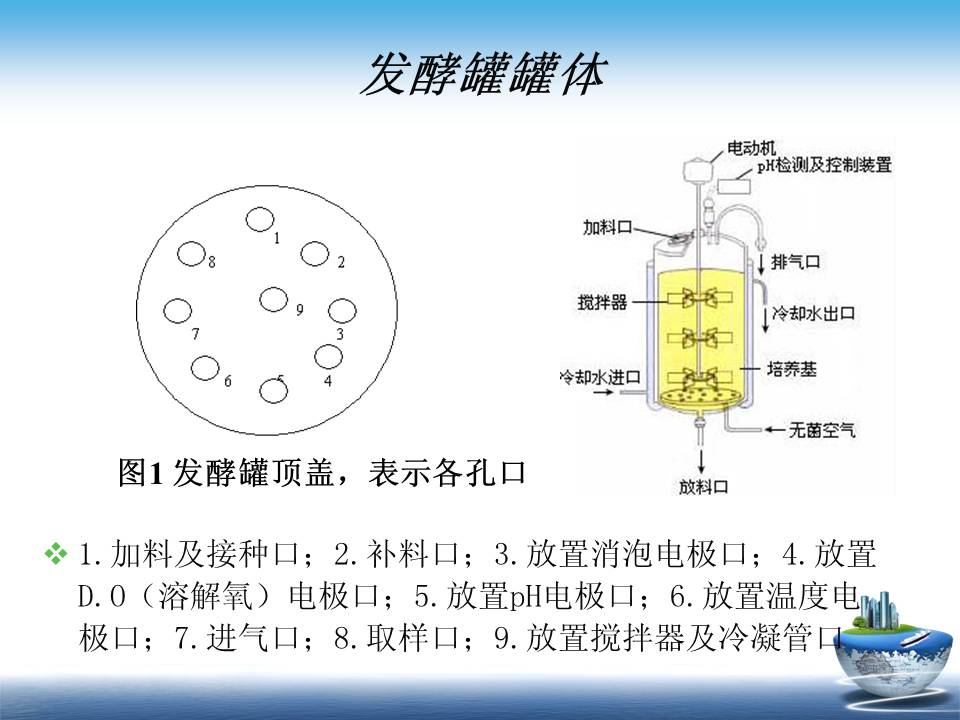 胸章与发酵罐简介