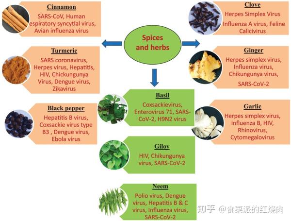 杀毒软件与食品香料的作用