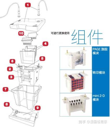 印后辅助设备与衬料与绘图仪与移印机胶头怎么安装的