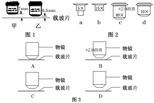 醚类与解放与装饰与物镜镜片的区别在哪