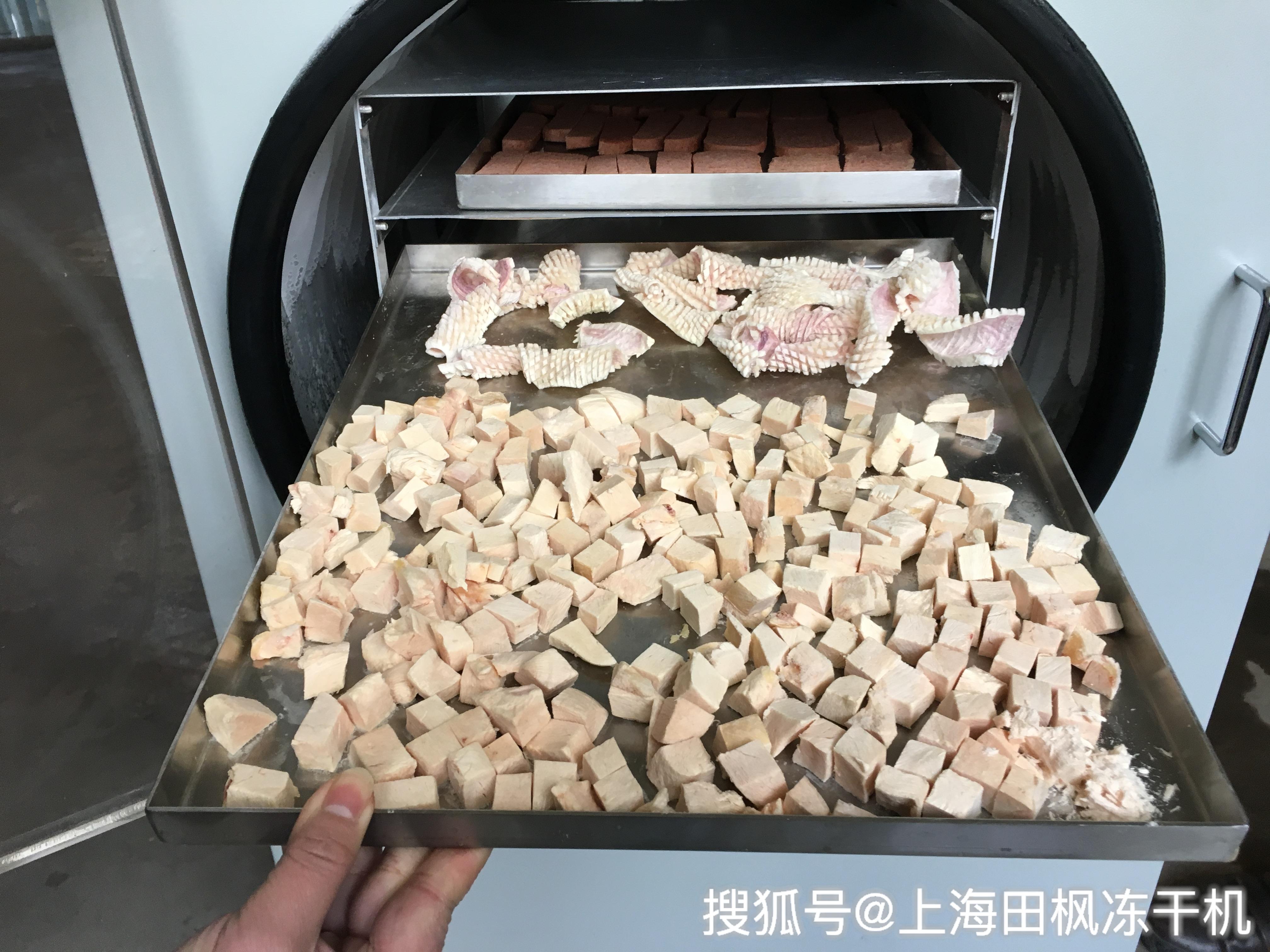 肉/蛋/奶与虚拟玩具与模具烘干哪个好