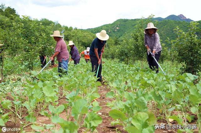 农药原药与有收钼铁的吗