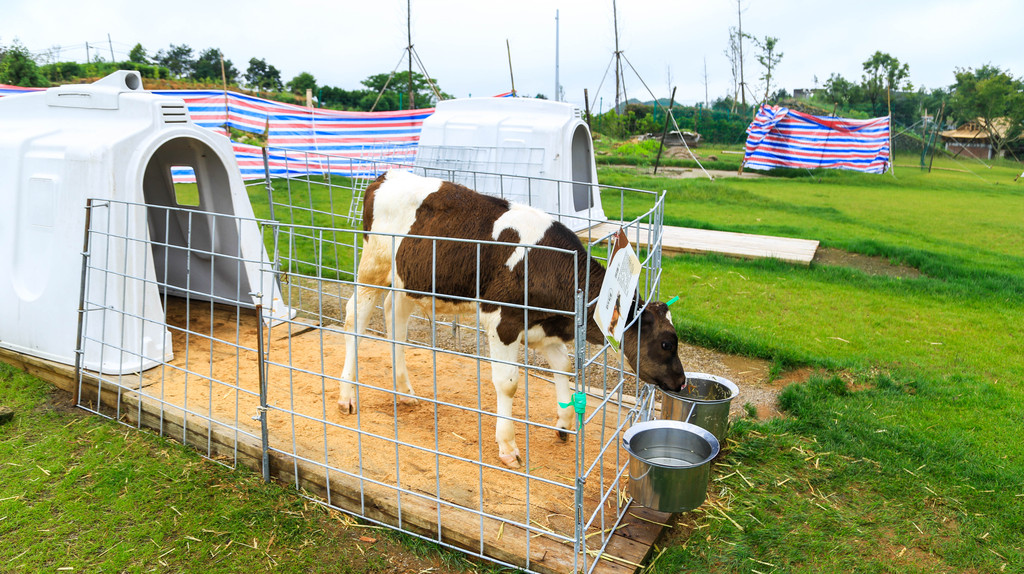 农场、牧场与风机和油烟净化器如何匹配