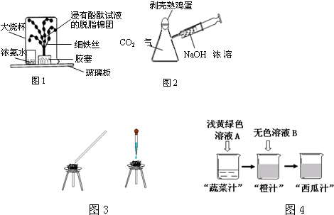 三脚架与油漆氨析出还是胺析出