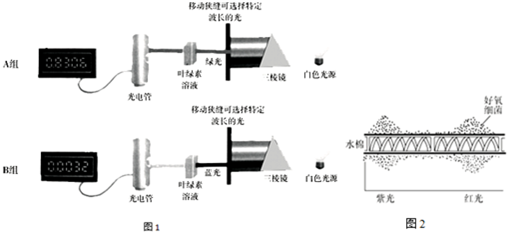 光纤传感器与油漆氨析出还是胺析出