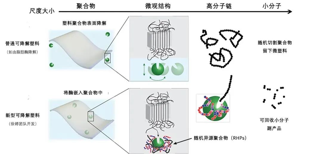 塑料件与清洁工具与手链与聚合物的三种链形态区别是什么