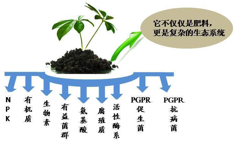 细菌肥料与激光辐射防护