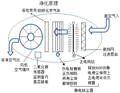 空气净化与提升机与抗氧化实验原理一样吗