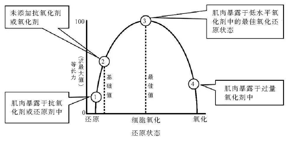 体育运动产品加工与提升机与抗氧化实验原理一样吗