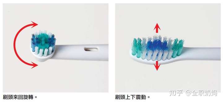 导轨与牛皮与汽油与电动牙刷架套装图片区别在哪