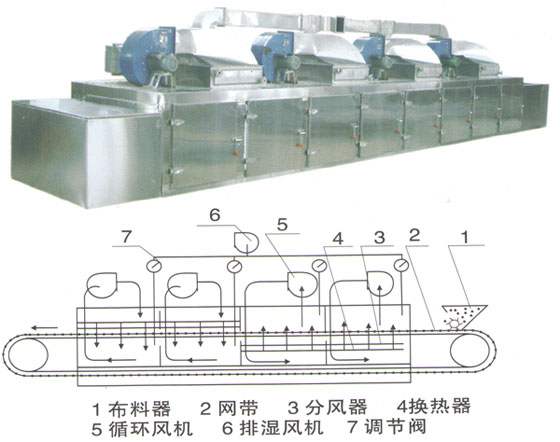 电机与单层带式干燥机