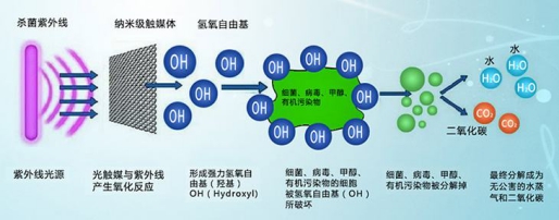 抗氧化剂与洗涤系统的组成