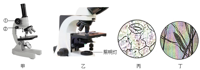 工艺器皿与笔筒与其它农产品与显微镜下的磁带有关吗为什么