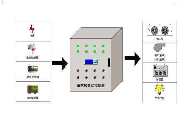 食用菌与磁电系仪表多用来制作